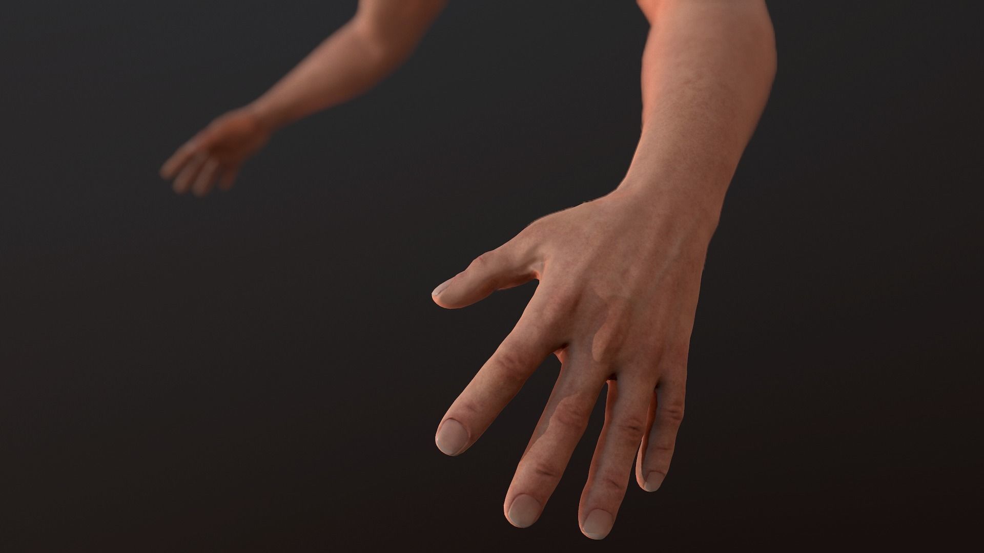 Male FPS Arms Low-poly 3D model_4