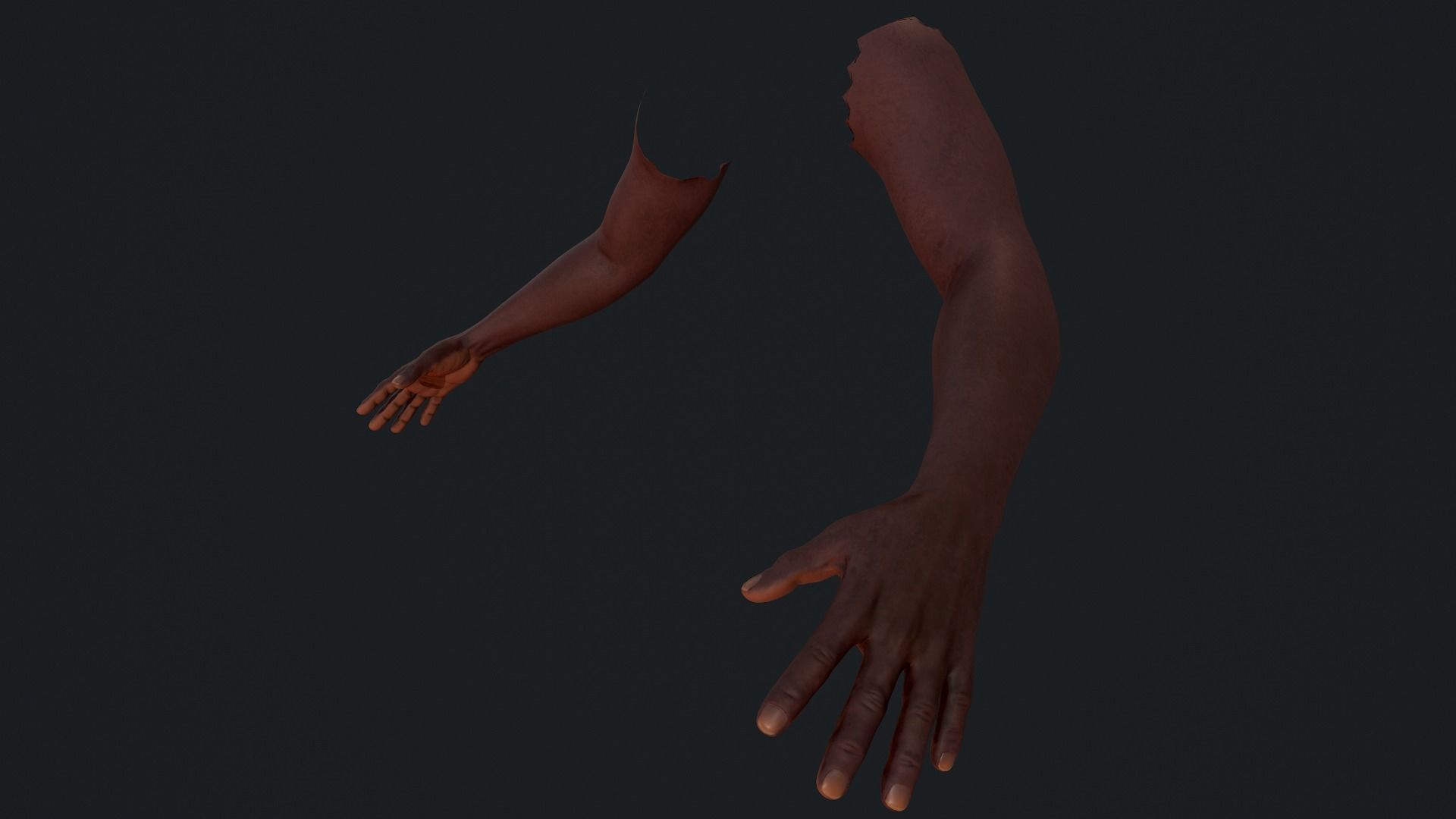 Male FPS Arms Low-poly 3D model_2