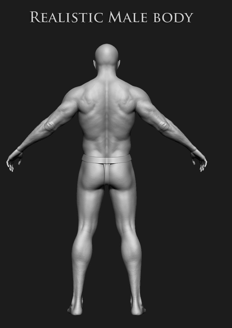 Realistic Human male body Zbrush 3D model_26