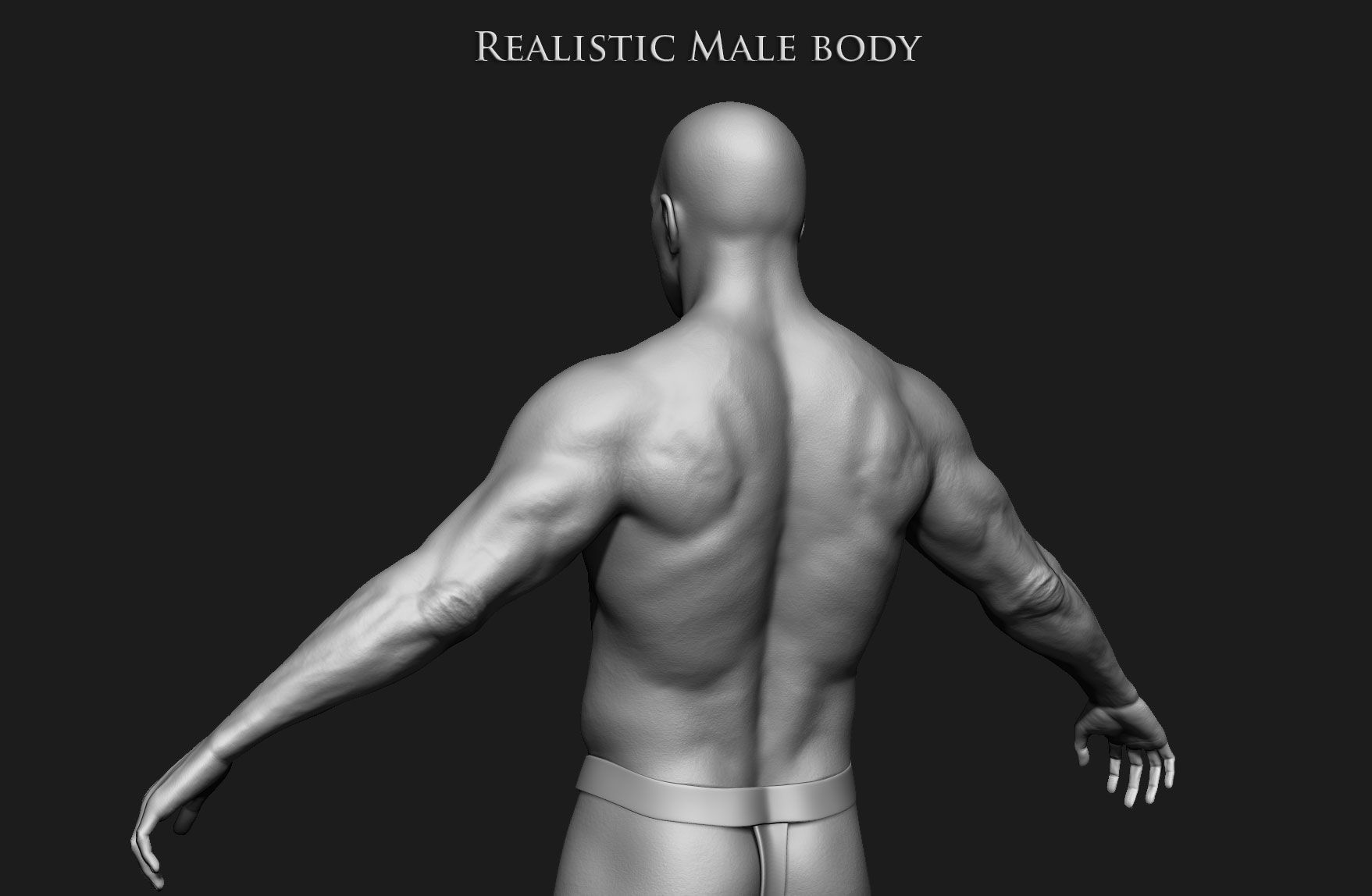 Realistic Human male body Zbrush 3D model_3