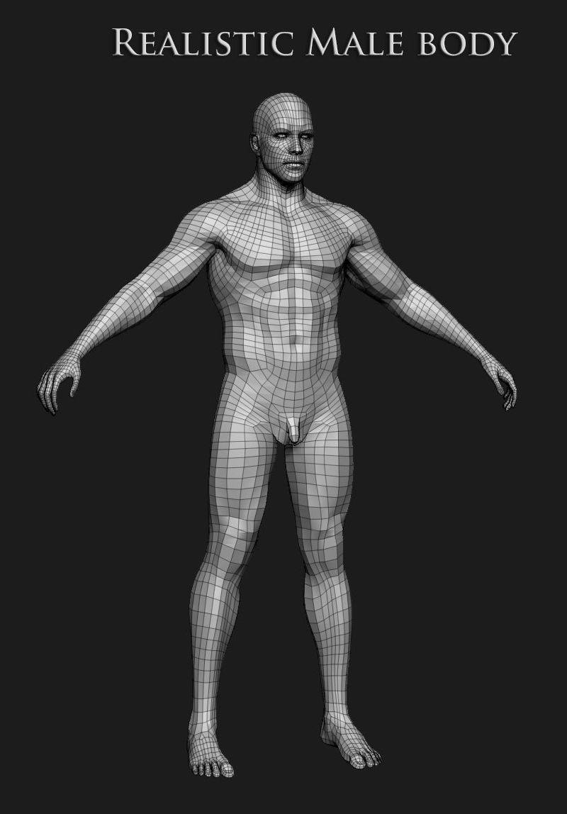 Realistic Human male body Zbrush 3D model_17