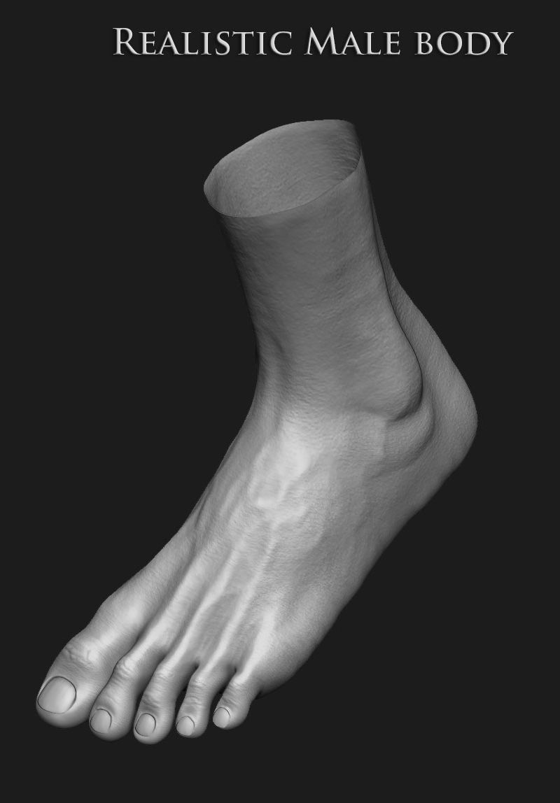 Realistic Human male body Zbrush 3D model_14