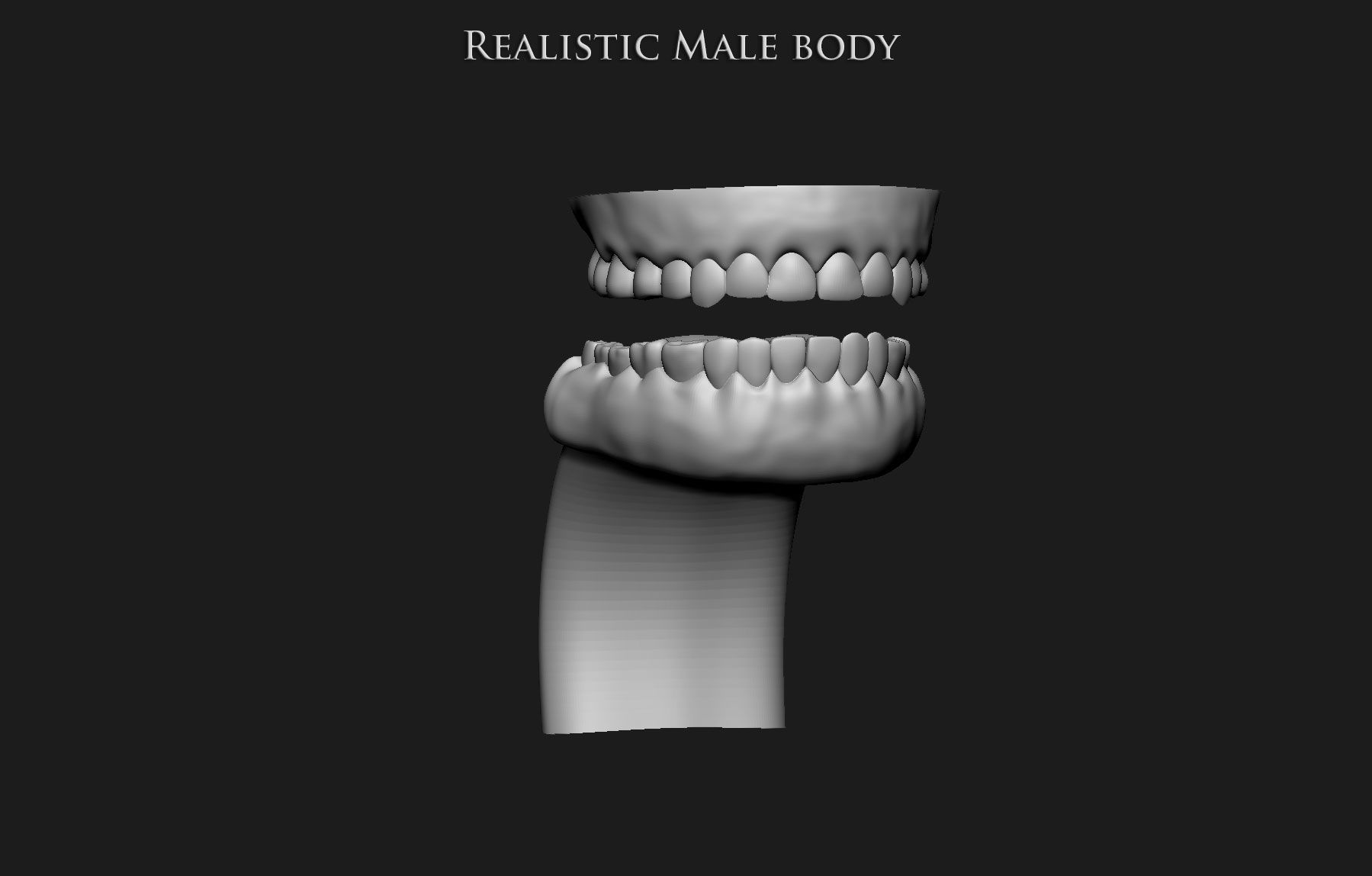 Realistic Human male body Zbrush 3D model_21