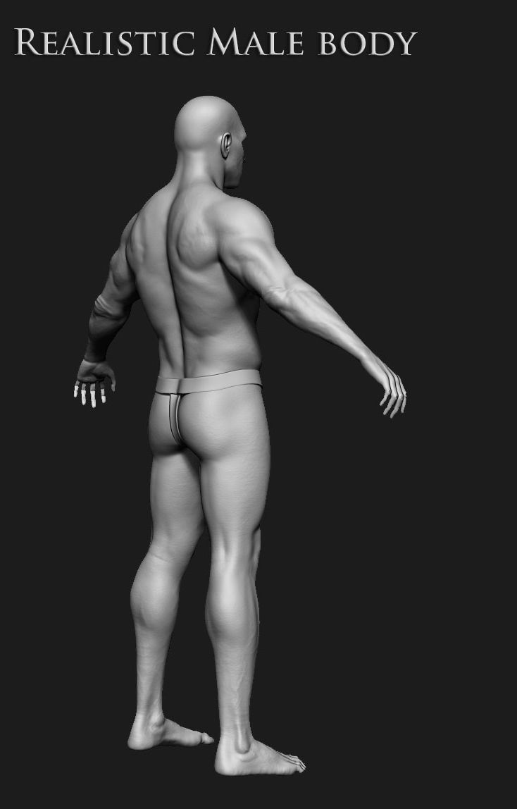 Realistic Human male body Zbrush 3D model_27