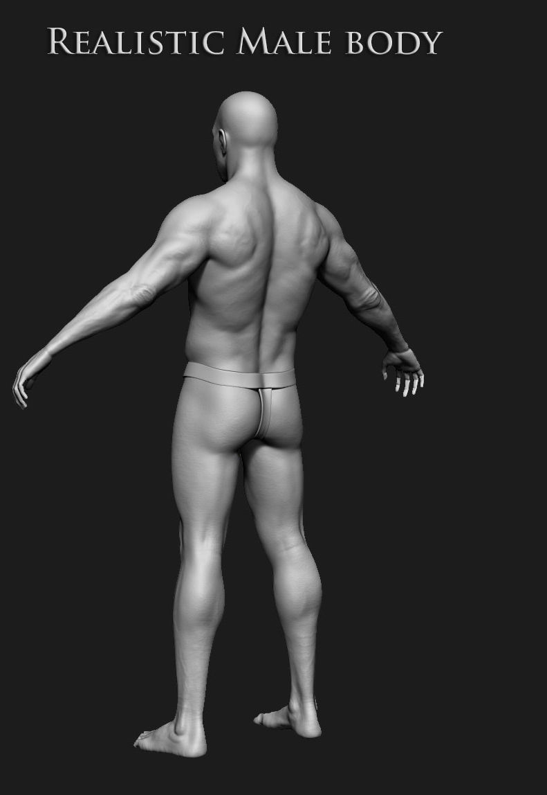 Realistic Human male body Zbrush 3D model_25