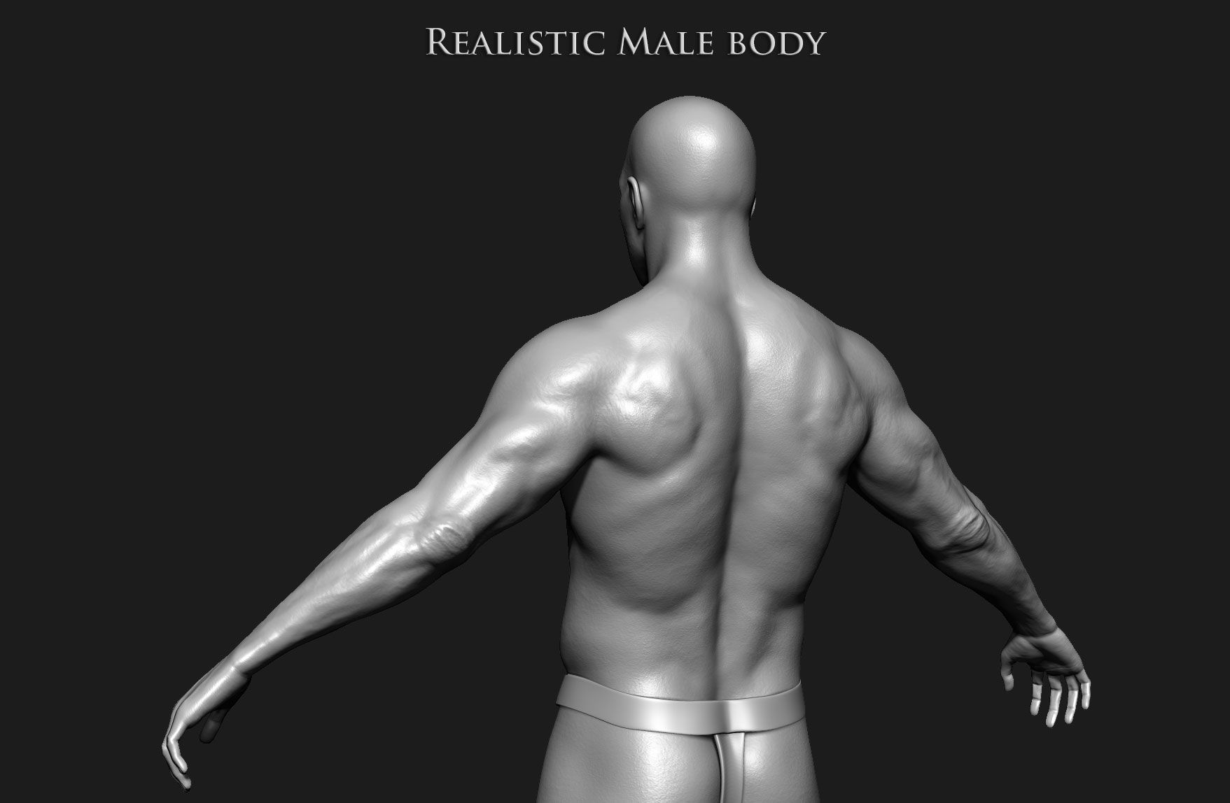 Realistic Human male body Zbrush 3D model_2