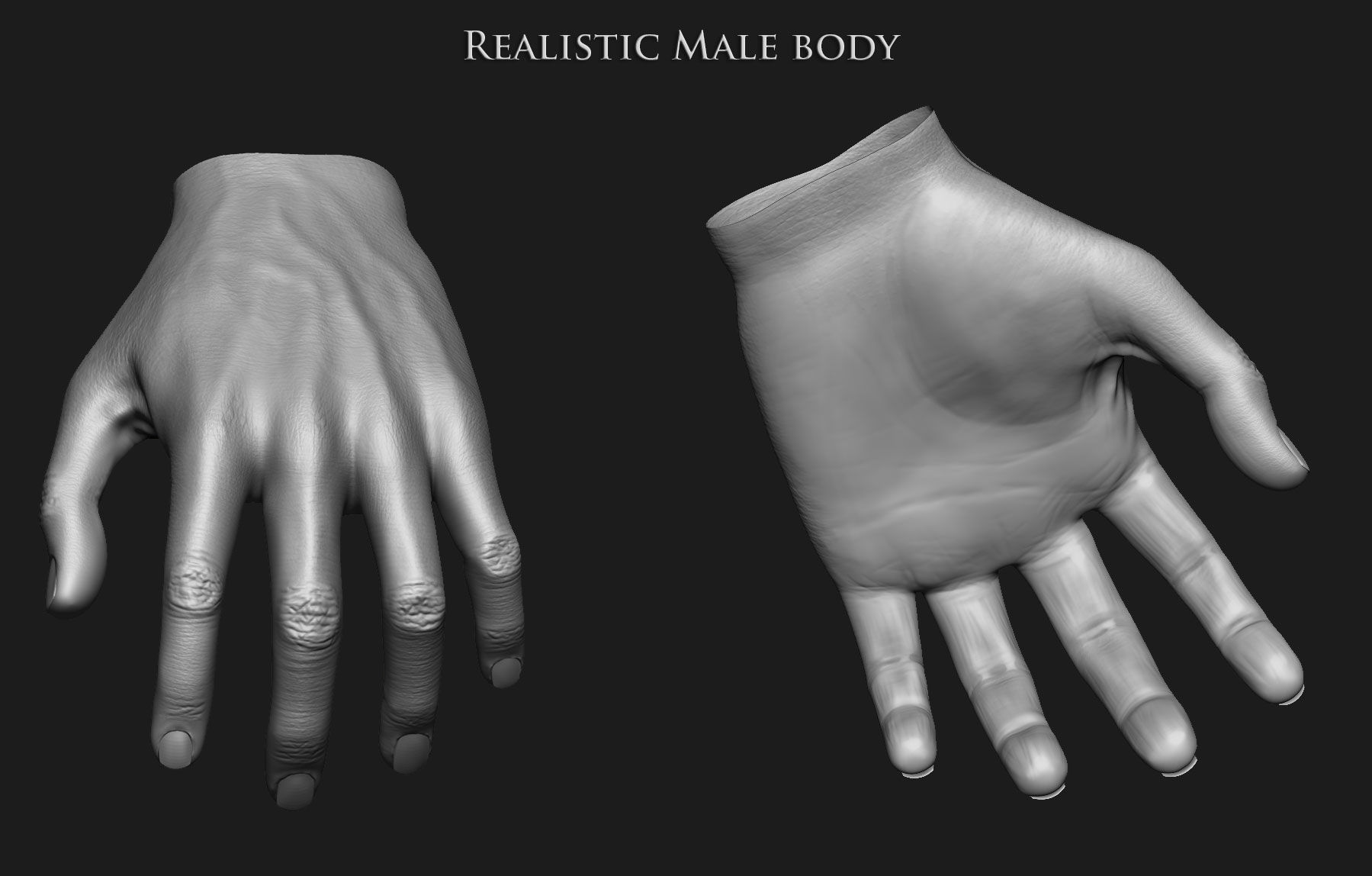 Realistic Human male body Zbrush 3D model_15