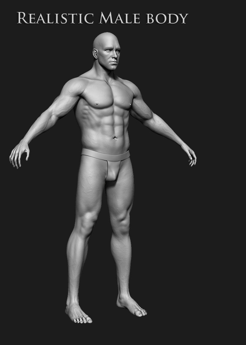 Realistic Human male body Zbrush 3D model_4