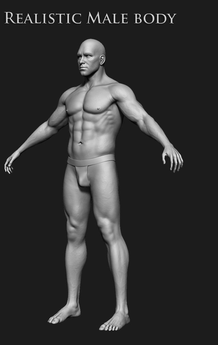 Realistic Human male body Zbrush 3D model_23