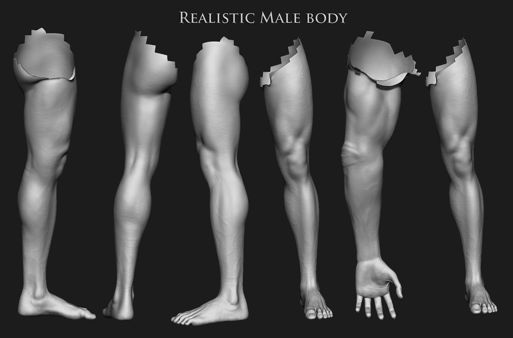 Realistic Human male body Zbrush 3D model_11