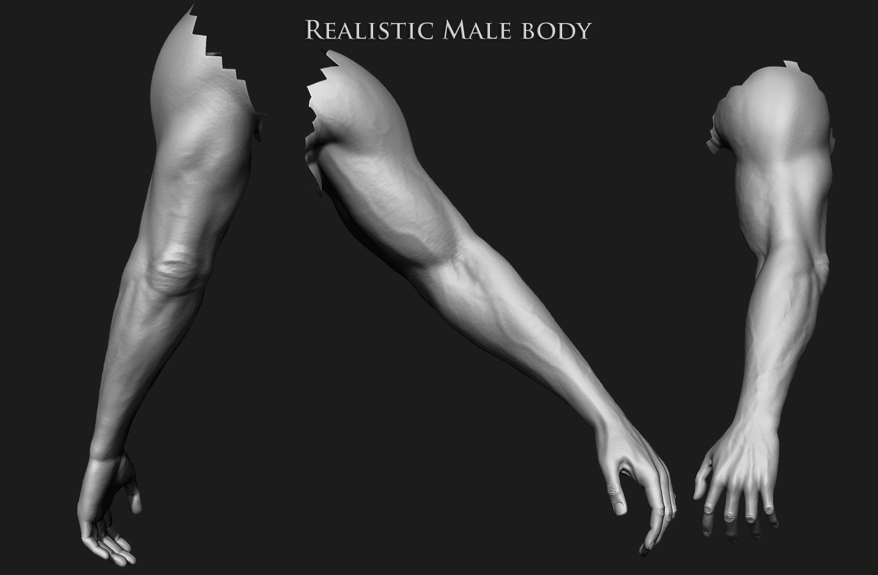 Realistic Human male body Zbrush 3D model_10
