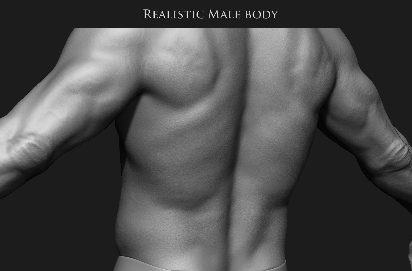 Realistic Human male body Zbrush 3D model_9