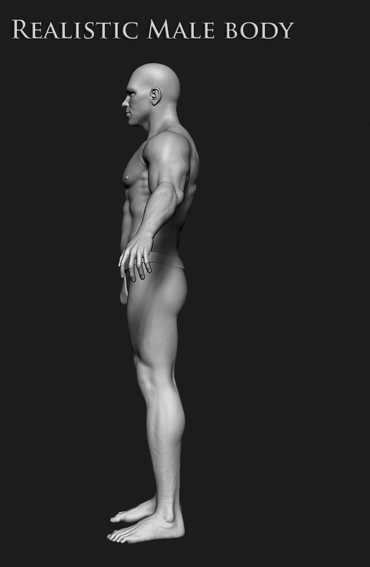 Realistic Human male body Zbrush 3D model_24