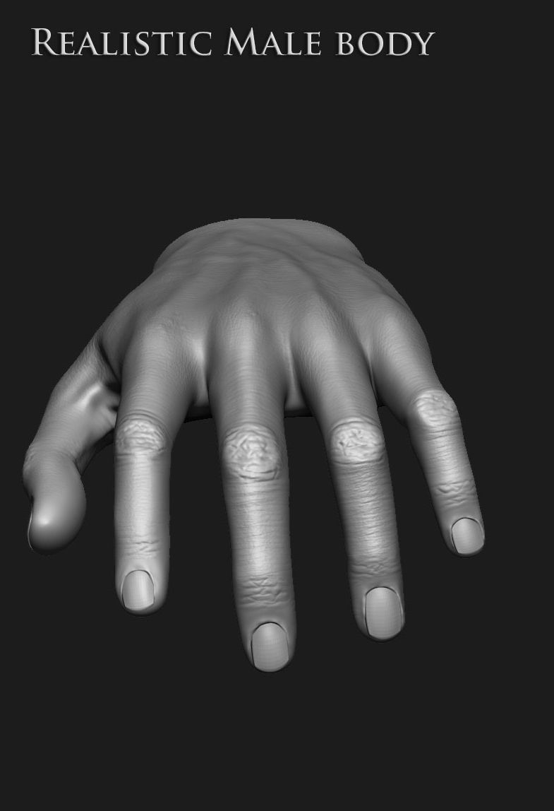 Realistic Human male body Zbrush 3D model_16