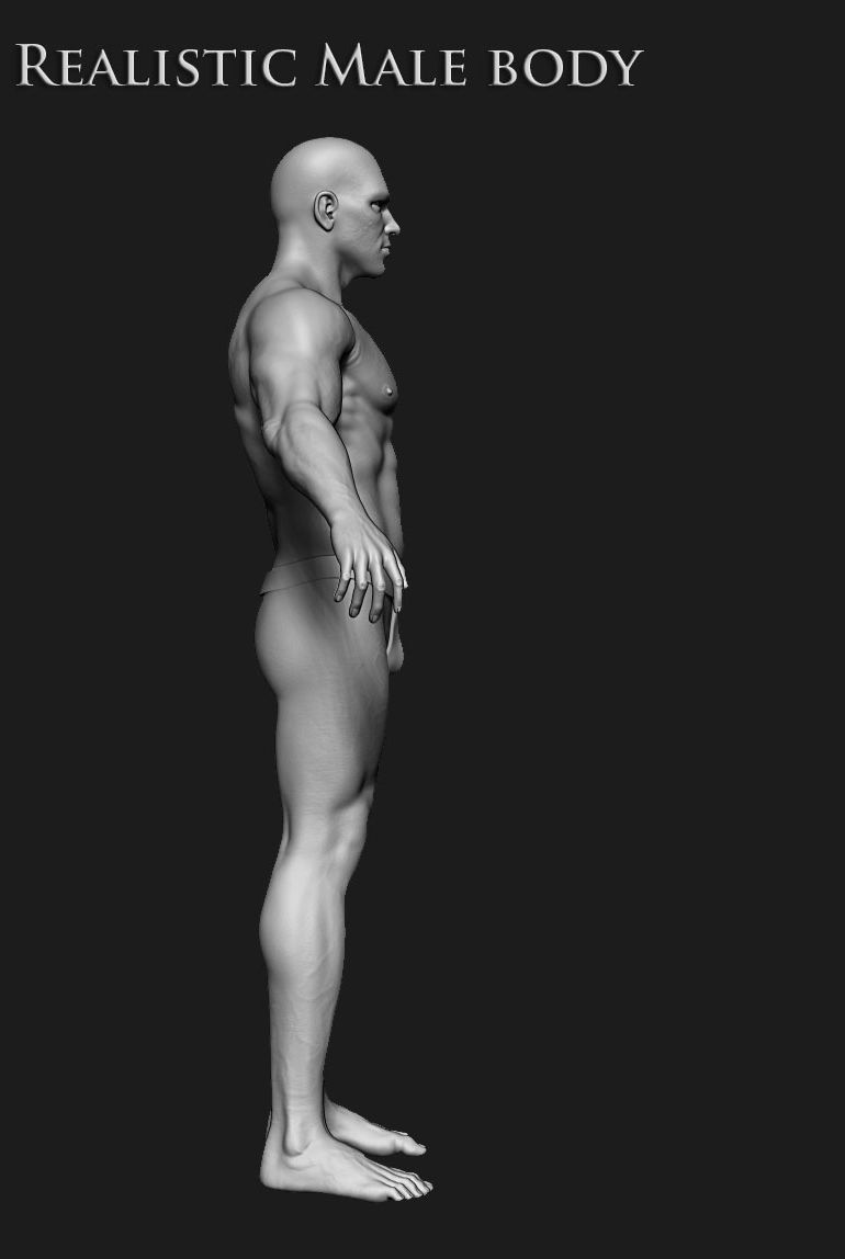 Realistic Human male body Zbrush 3D model_28