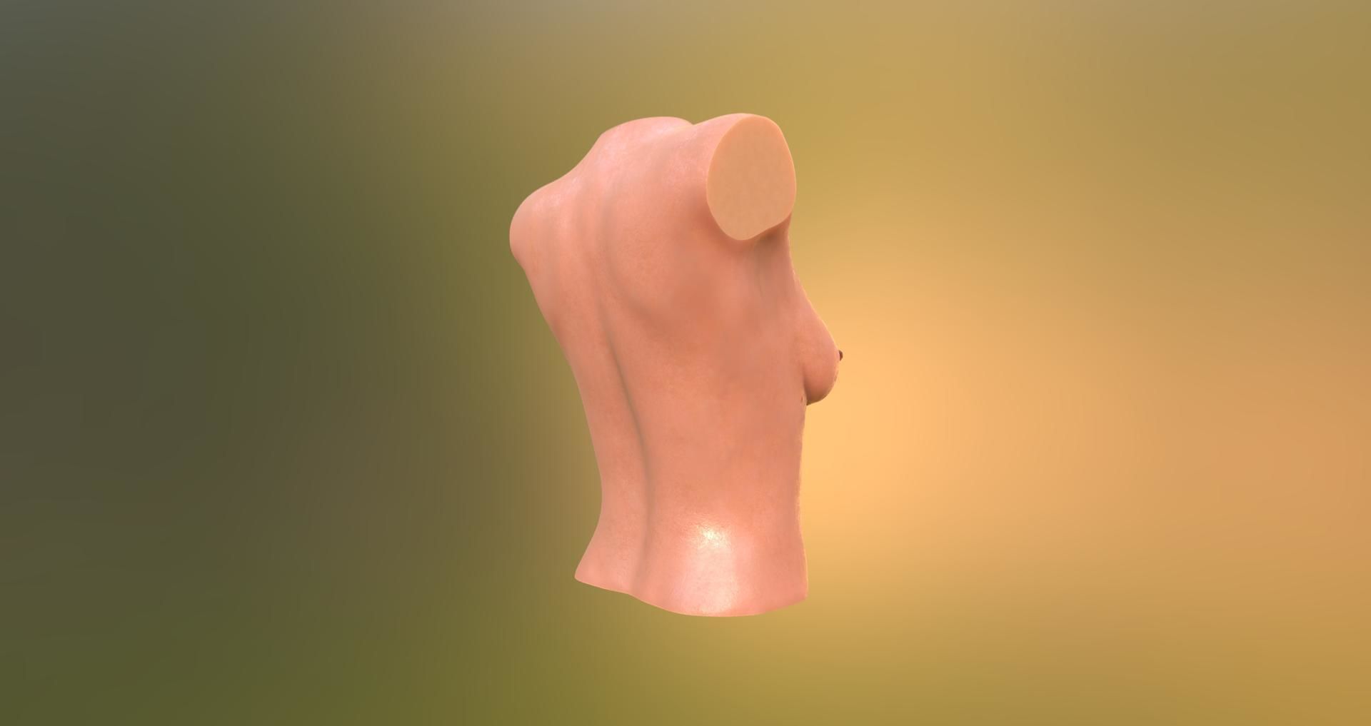 female body 6 3D print model_11