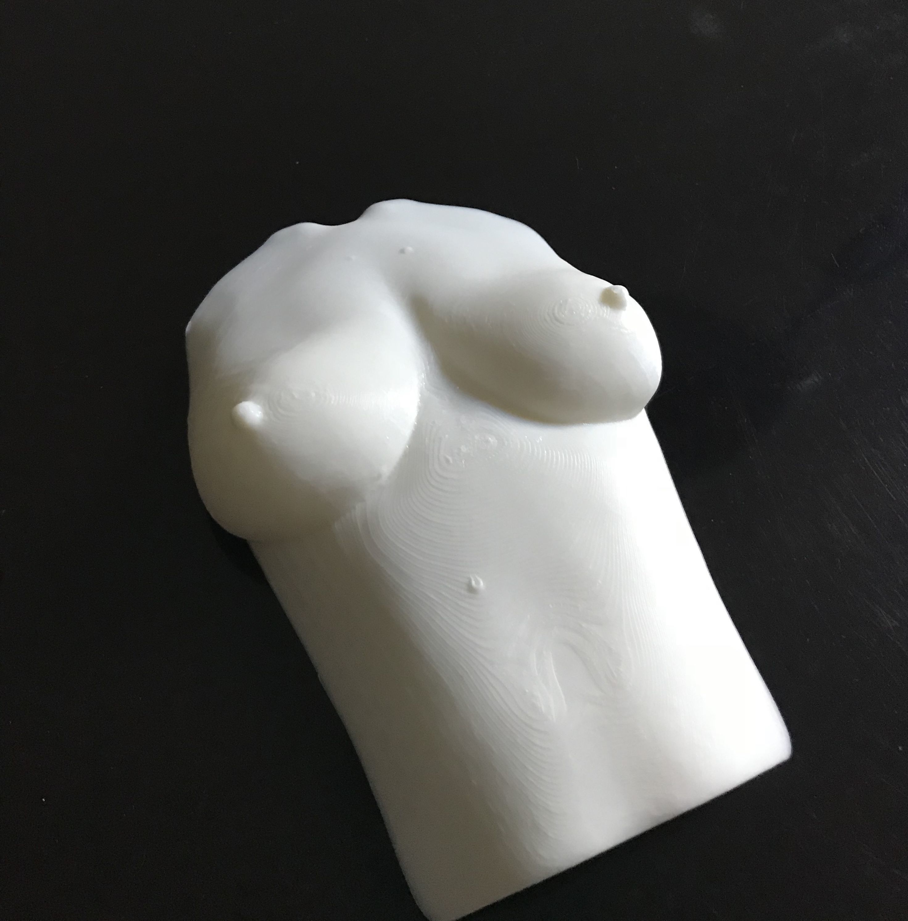 female body 6 3D print model_2