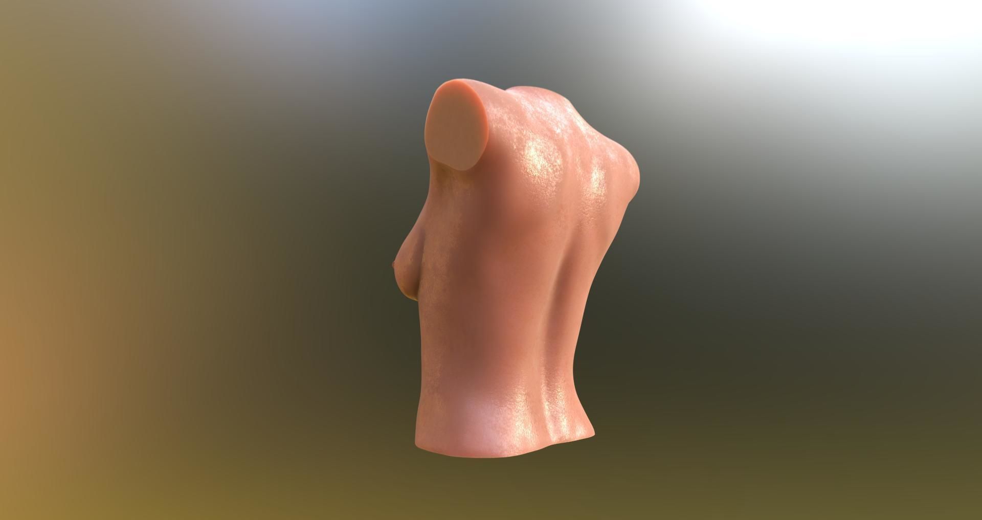 female body 6 3D print model_9