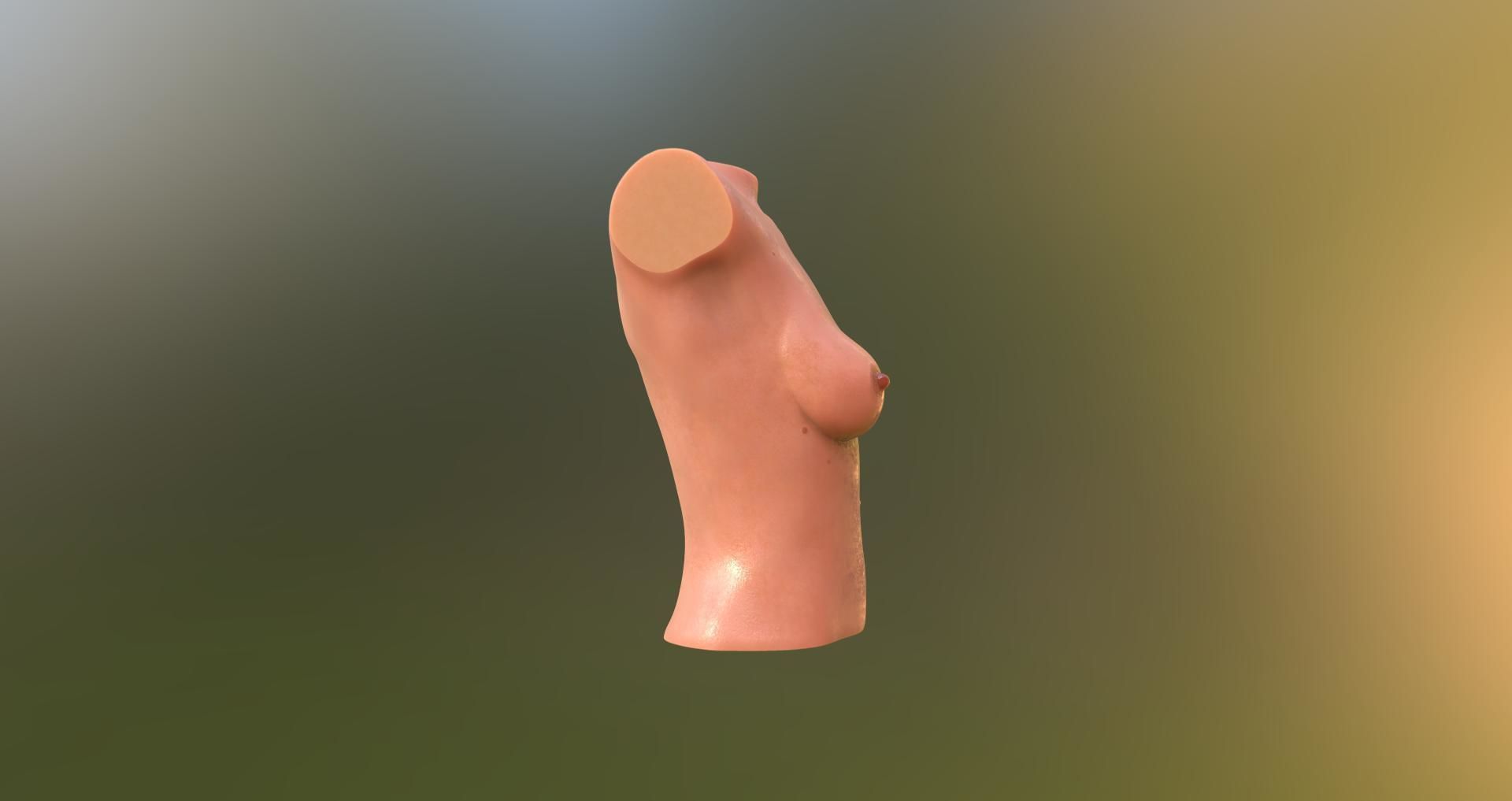 female body 6 3D print model_12