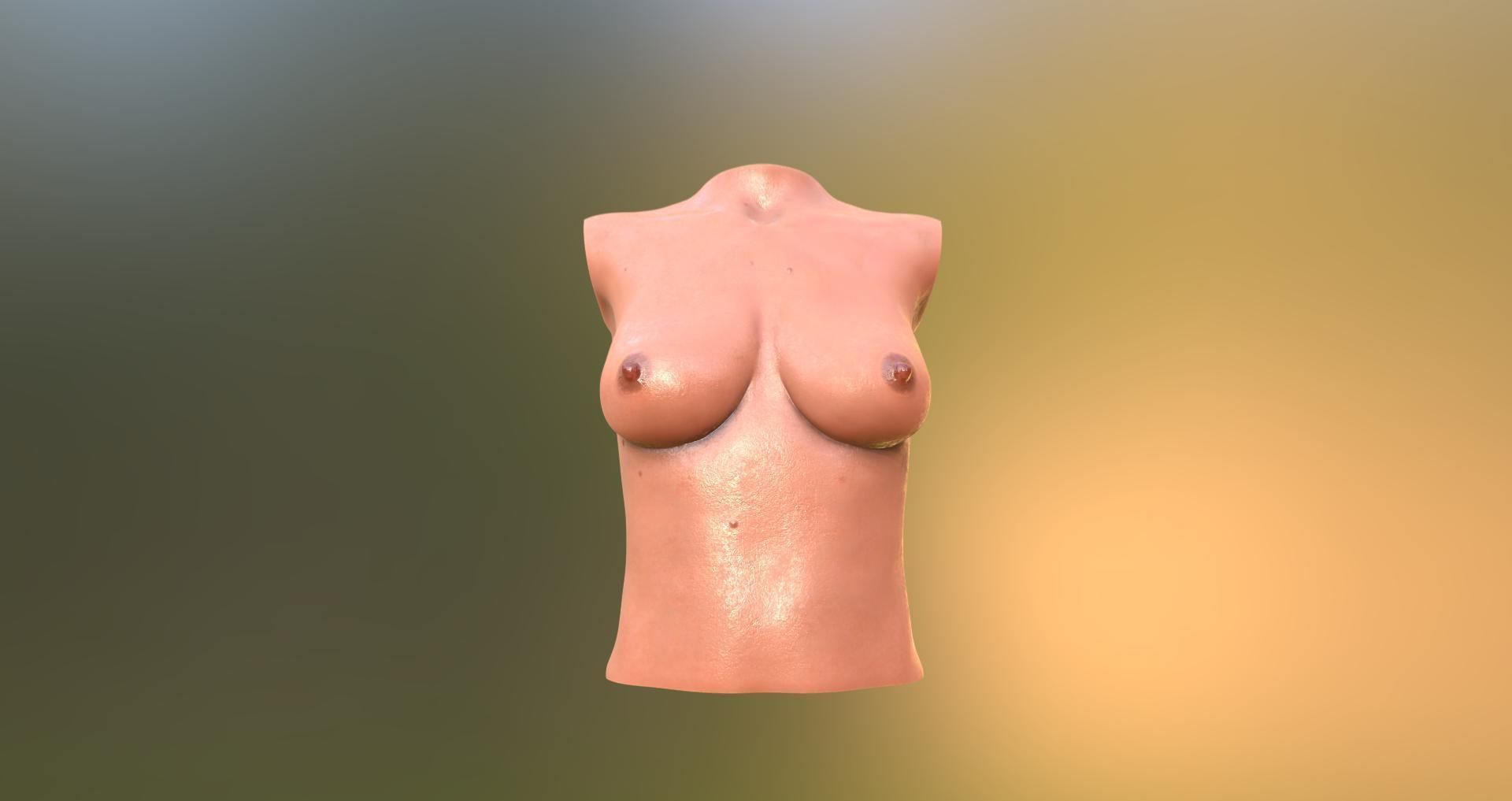 female body 6 3D print model_15