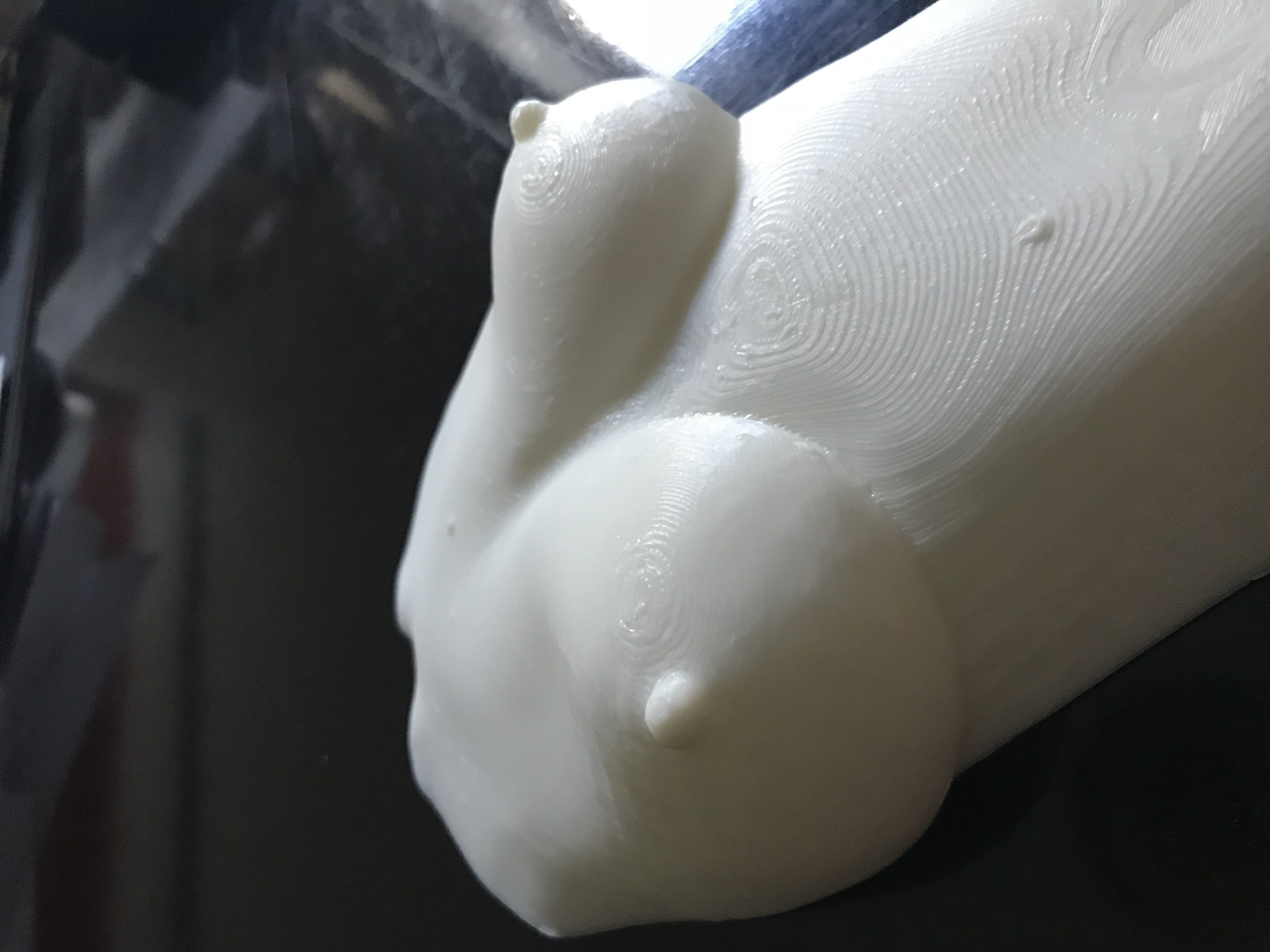 female body 6 3D print model_3