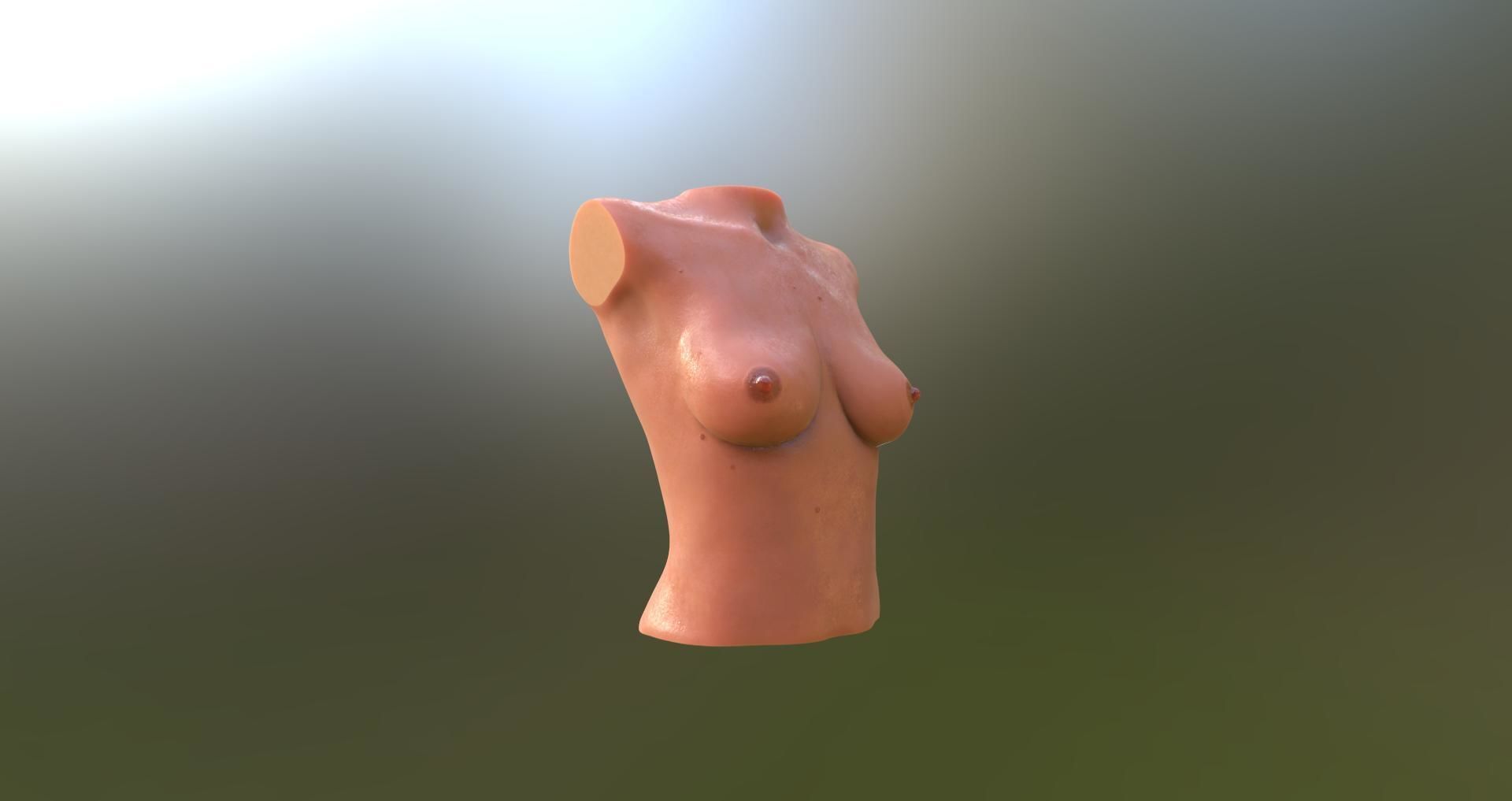 female body 6 3D print model_13