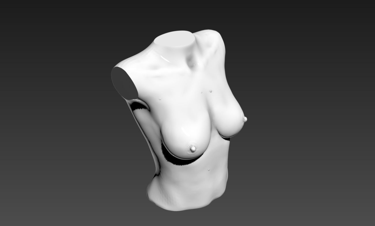 female body 6 3D print model_16
