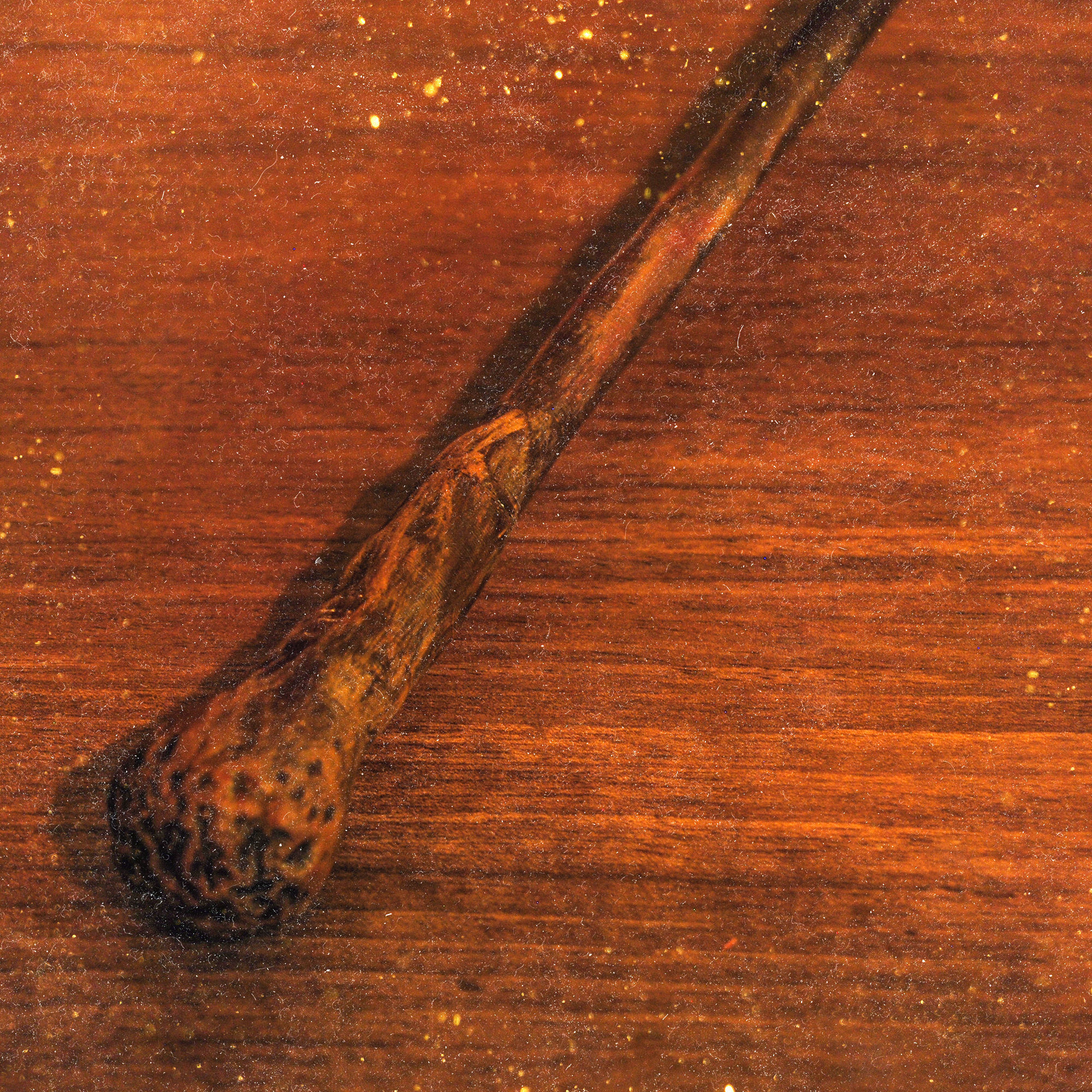 RON WEASLEY WAND - HARRY POTTER 3D print model_6