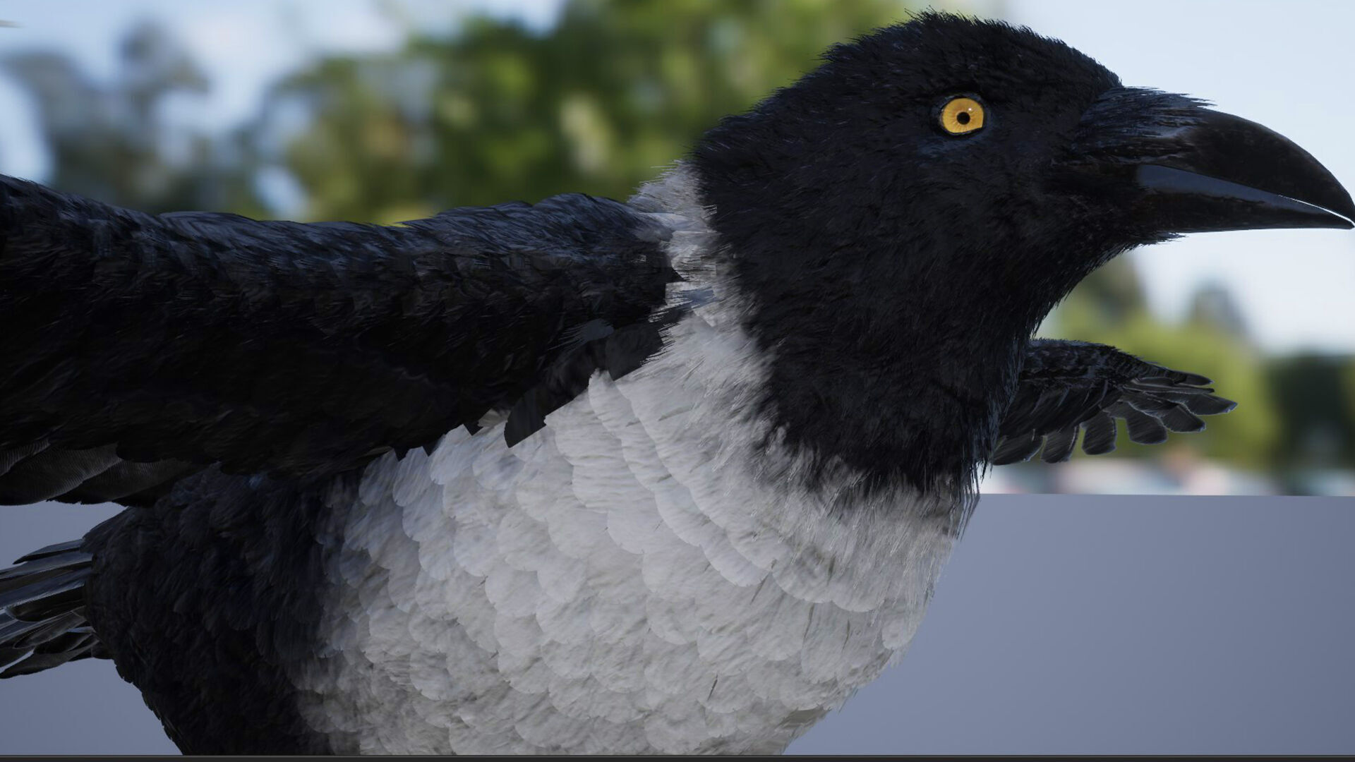 Ravens and Crows Low-poly 3D model_13