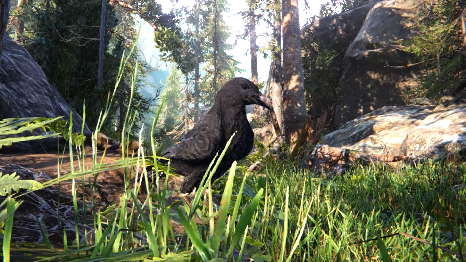 Ravens and Crows Low-poly 3D model_18