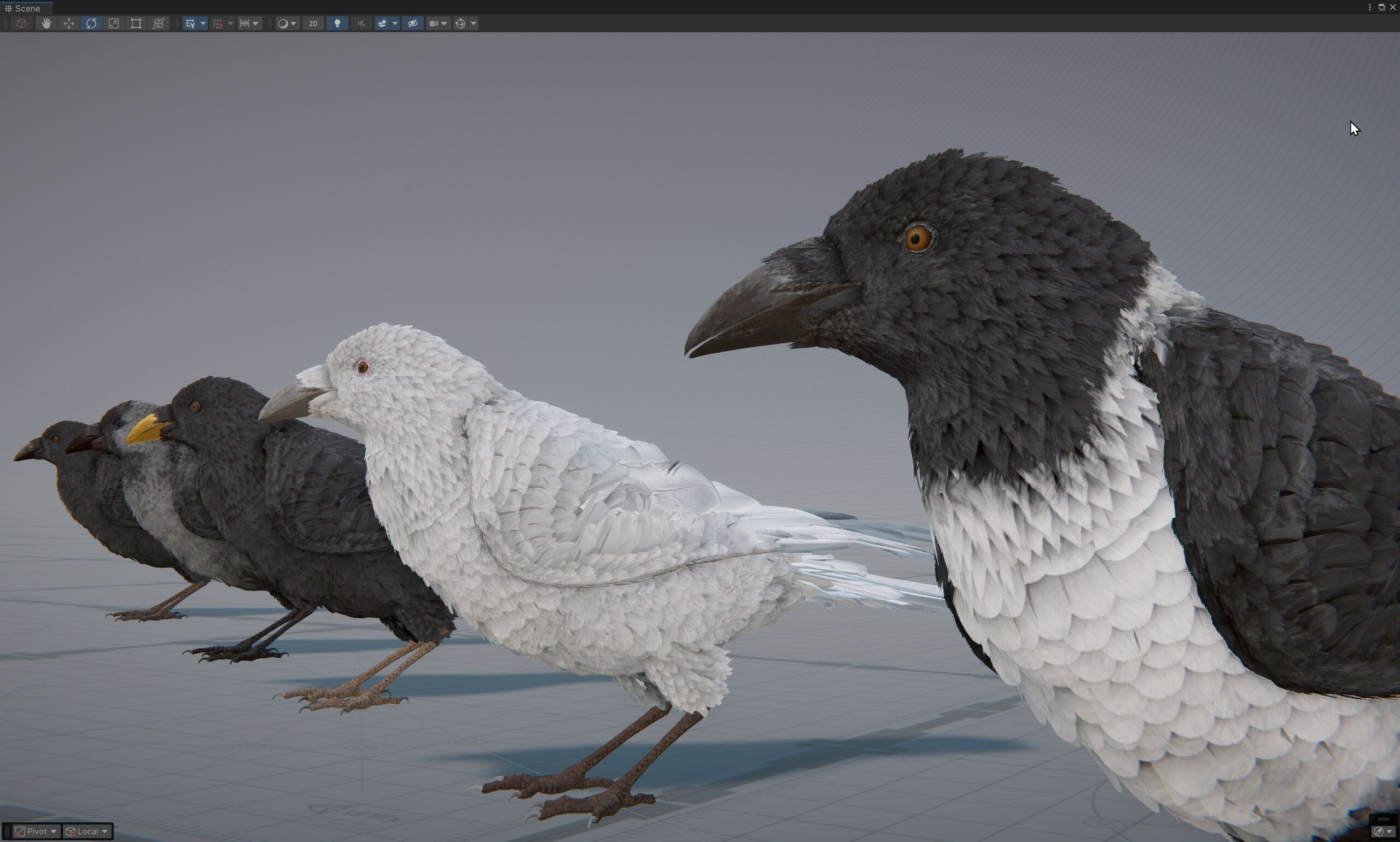 Ravens and Crows Low-poly 3D model_5