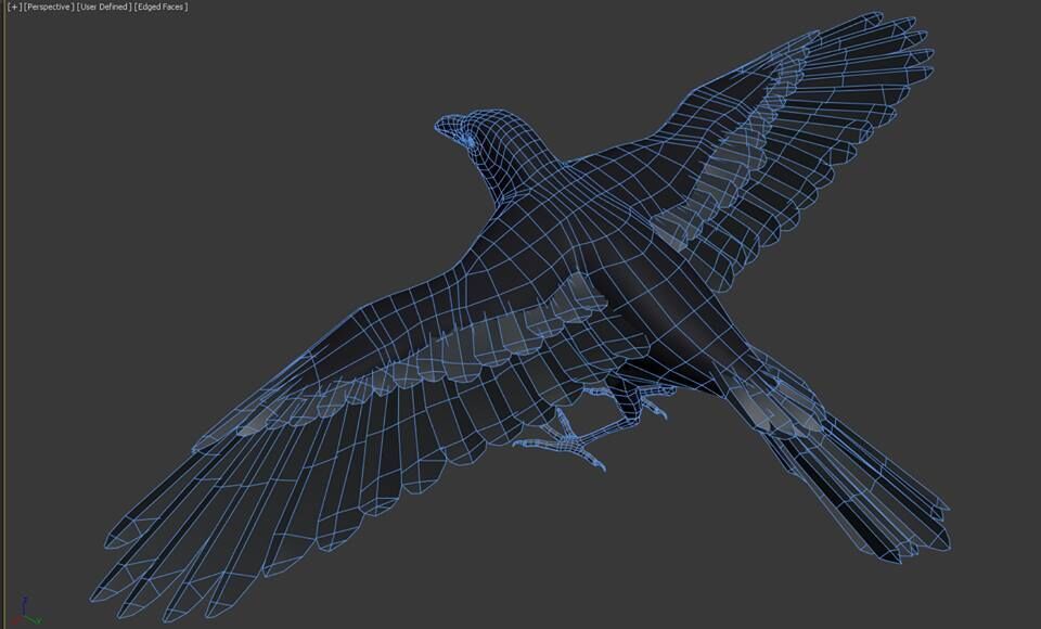 Ravens and Crows Low-poly 3D model_7