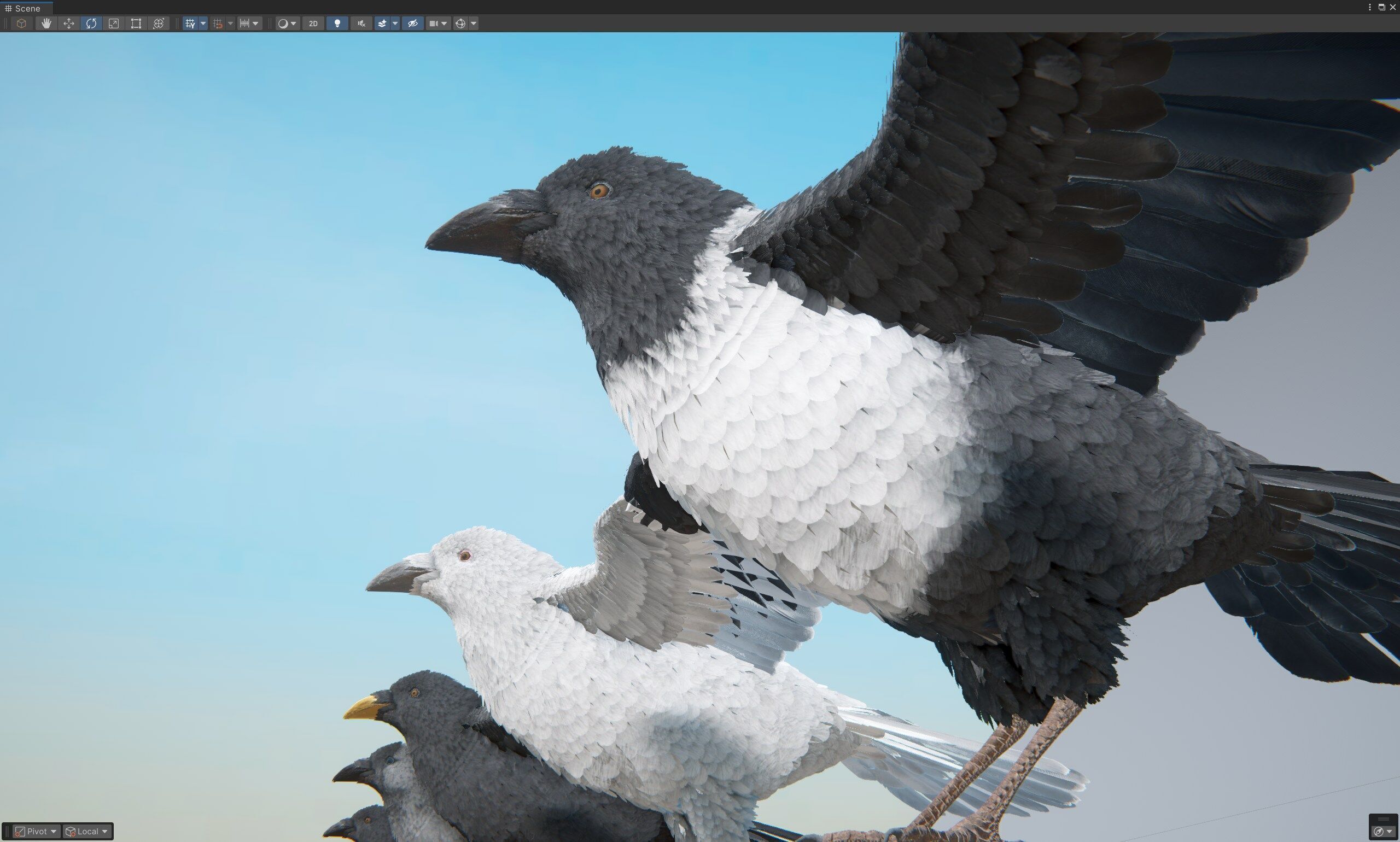Ravens and Crows Low-poly 3D model_12