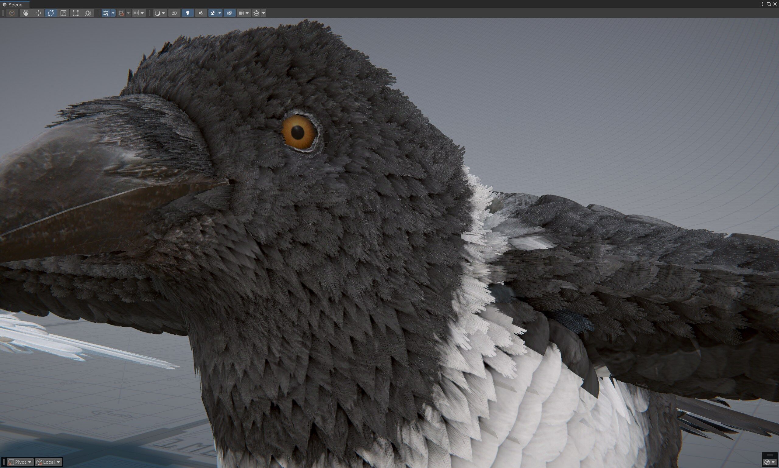 Ravens and Crows Low-poly 3D model_6