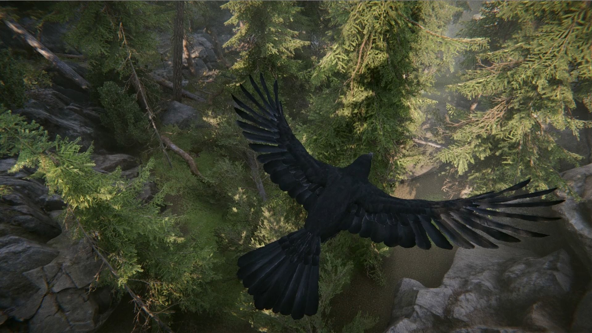 Ravens and Crows Low-poly 3D model_16