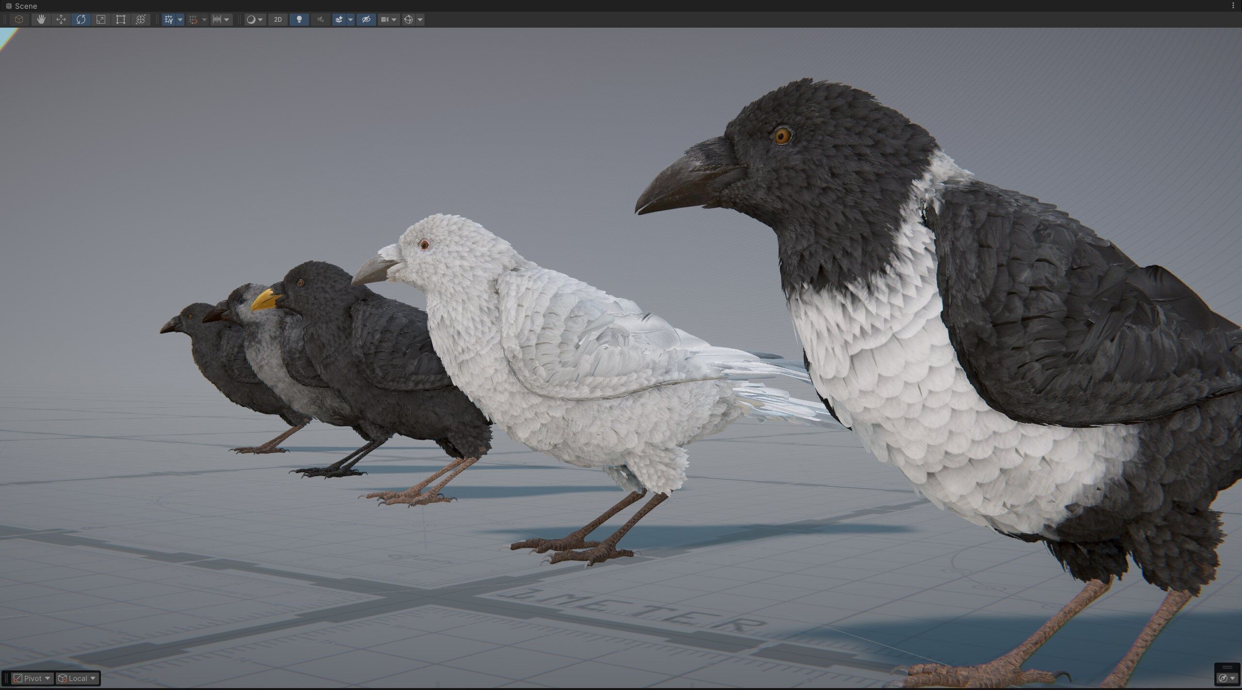Ravens and Crows Low-poly 3D model_11