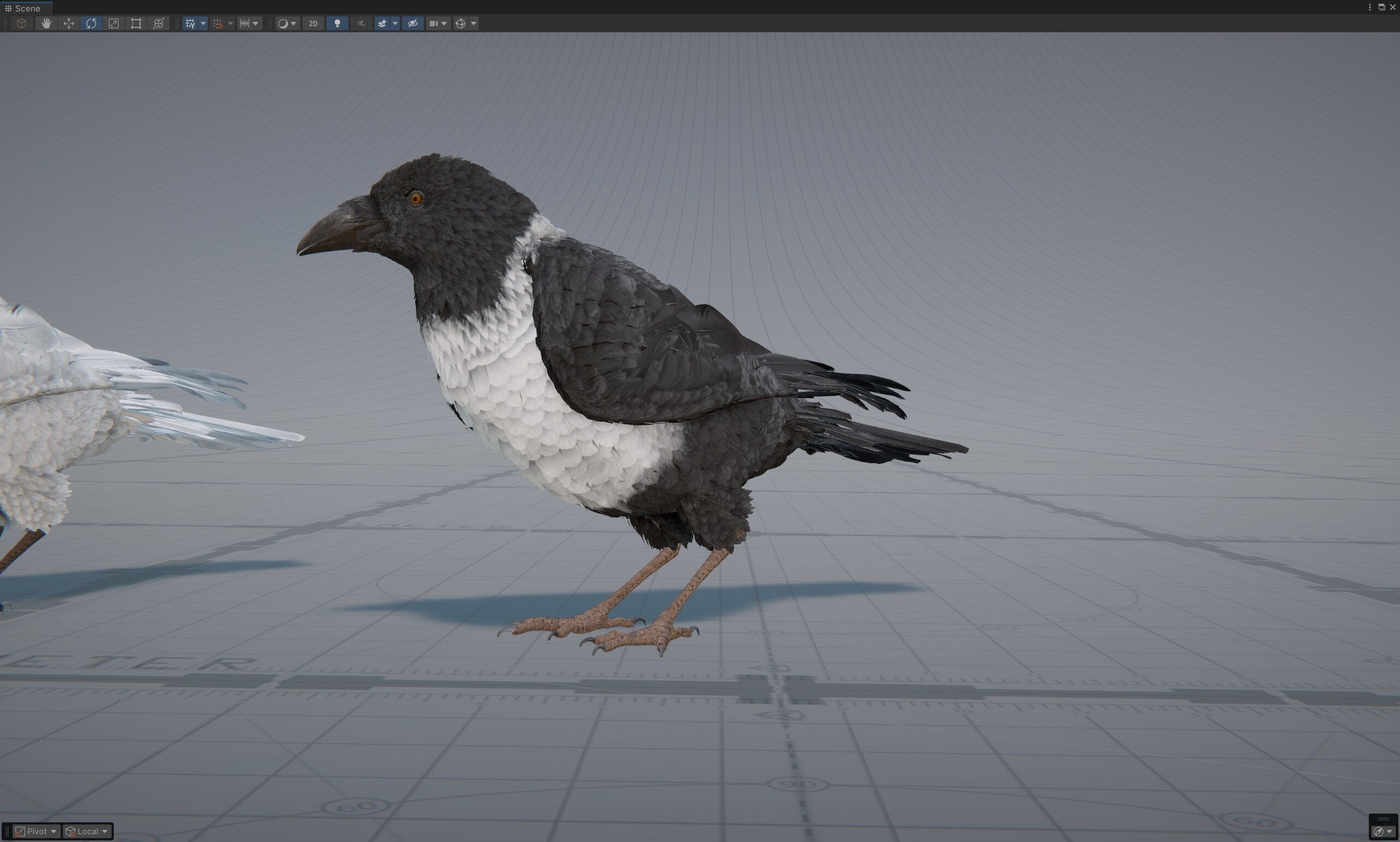Ravens and Crows Low-poly 3D model_10