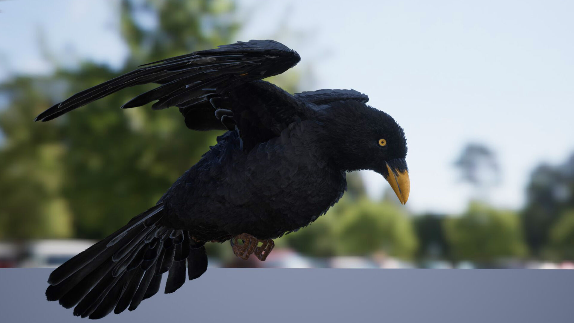 Ravens and Crows Low-poly 3D model_4