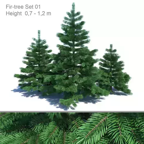 Fir-tree Set 01
