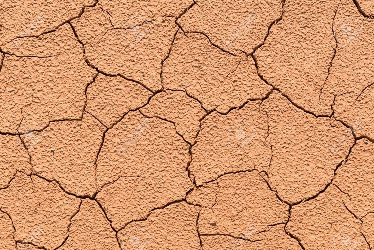 Boss 429 LowPoly Low-poly 3D model_8