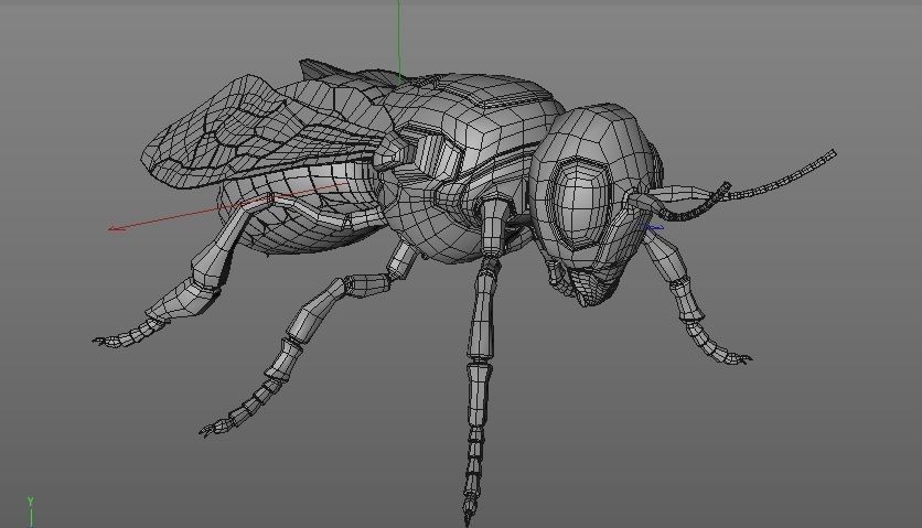 Bee SubDiv 3D model_3