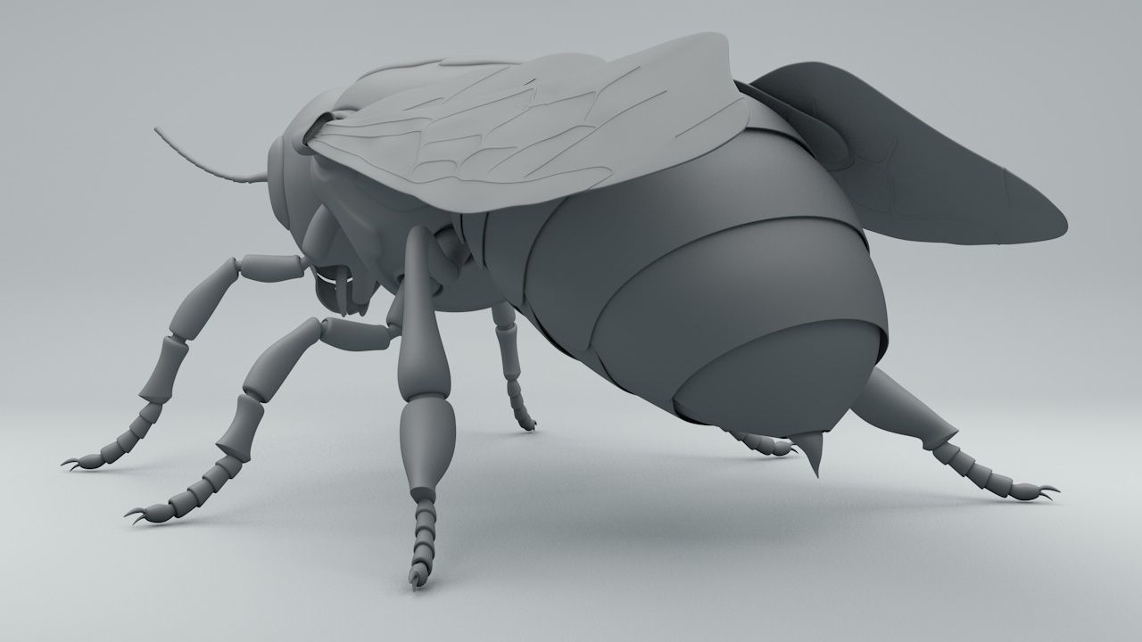 Bee SubDiv 3D model_2