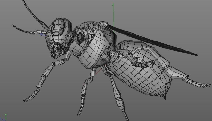 Bee SubDiv 3D model_4