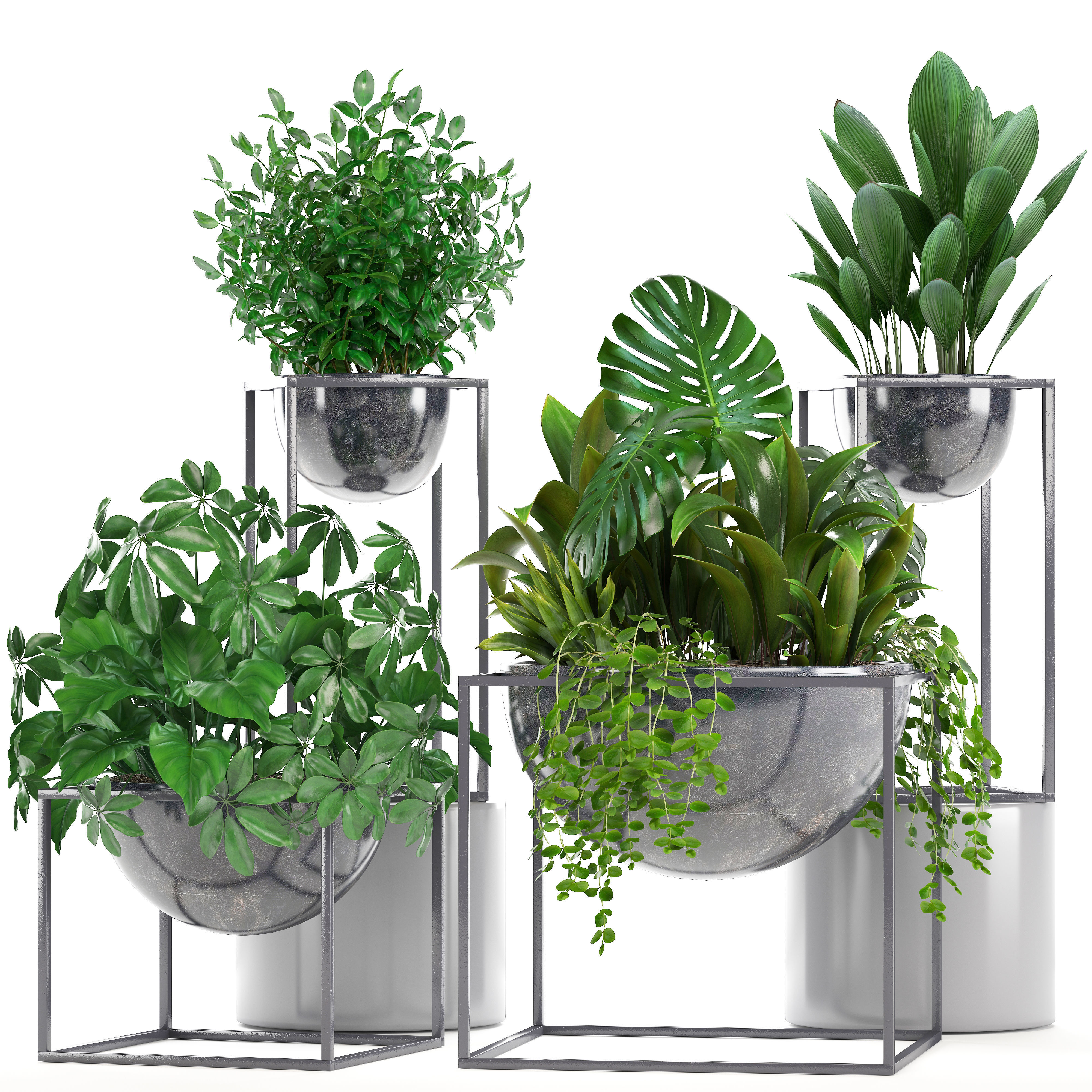 Collection Exotic plants 3D model_13