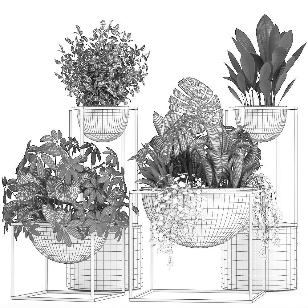 Collection Exotic plants 3D model_10