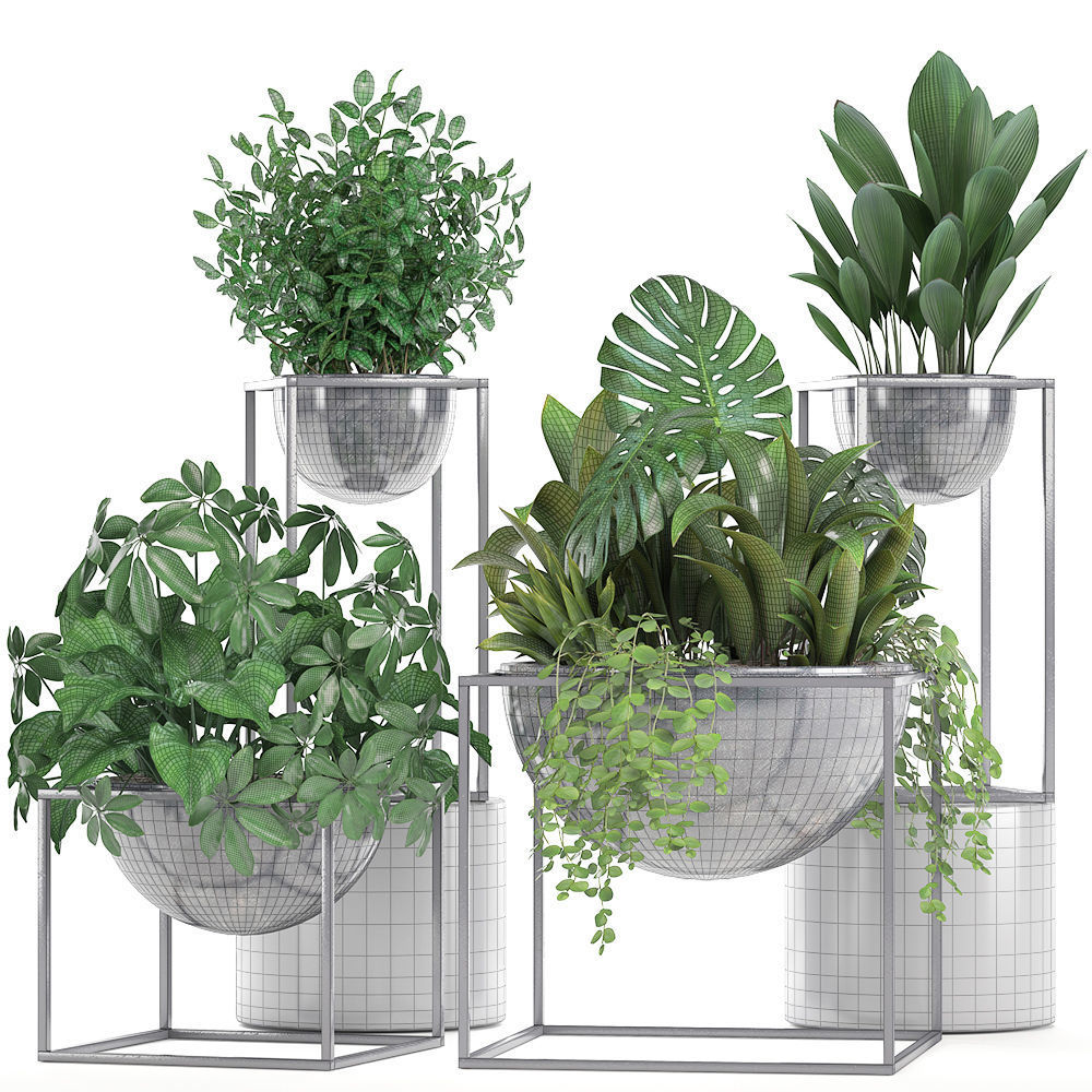 Collection Exotic plants 3D model_4