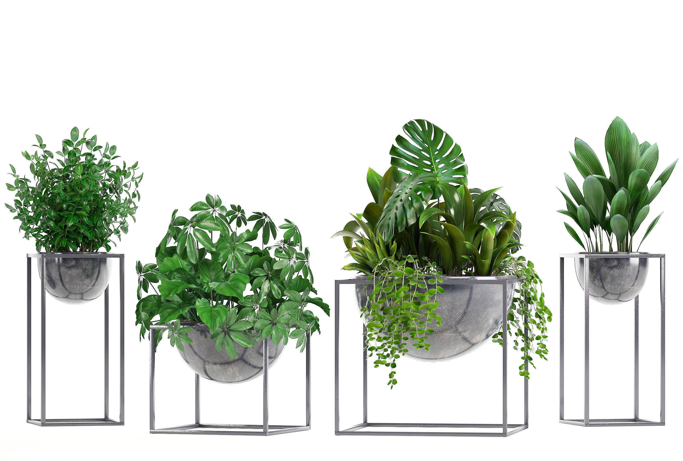 Collection Exotic plants 3D model_8