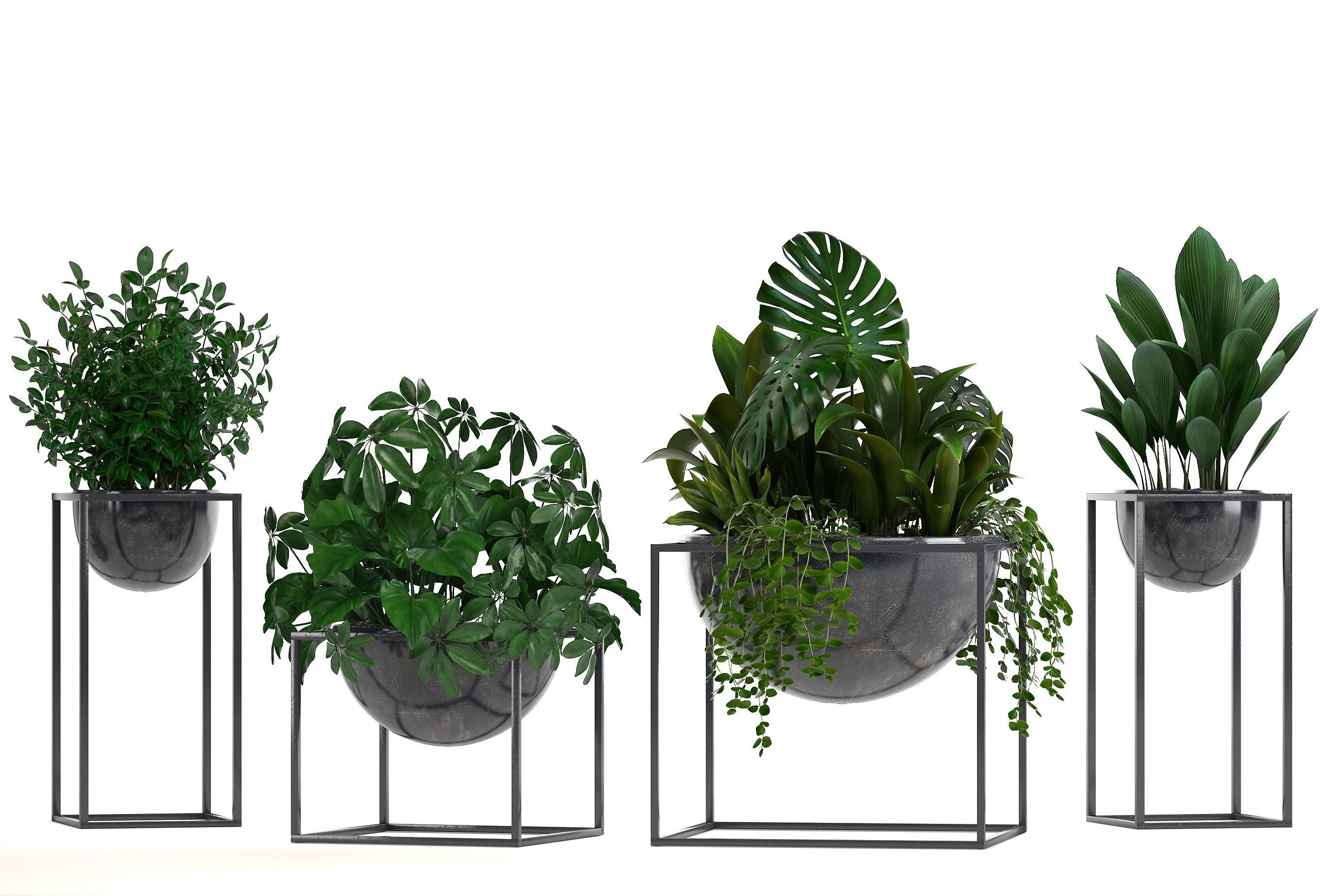 Collection Exotic plants 3D model_7