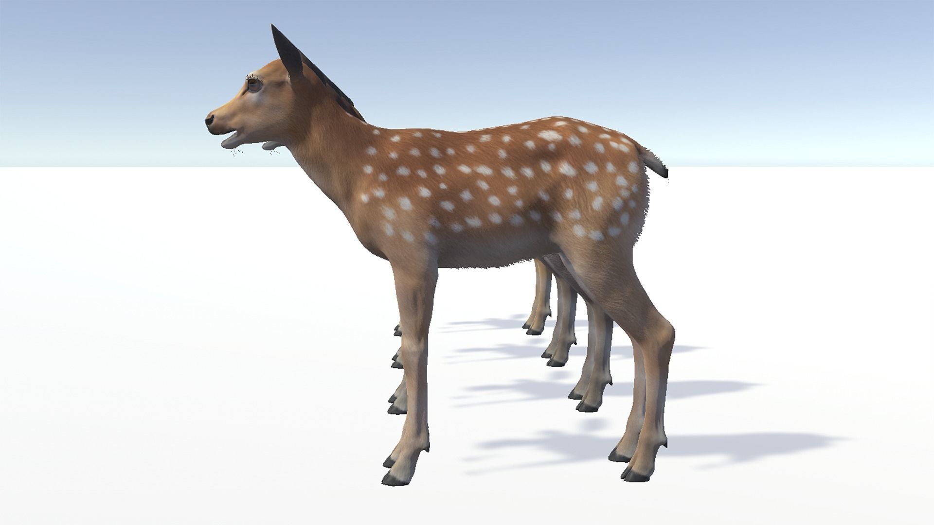 DEER FAMILY Low-poly 3D model_29