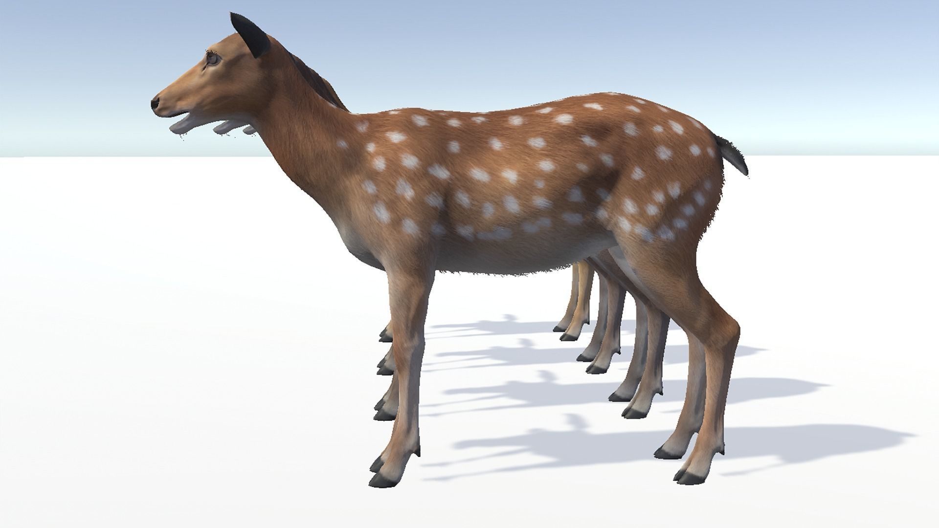 DEER FAMILY Low-poly 3D model_21